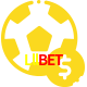 Aposte em esportes do mundo todo no Lllbet!